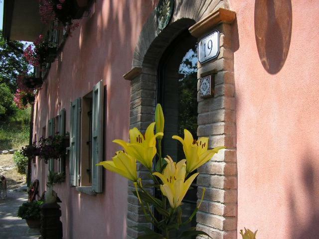 B&B Il Boschetto Calestano ภายนอก รูปภาพ