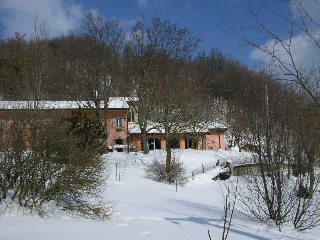 B&B Il Boschetto Calestano ภายนอก รูปภาพ